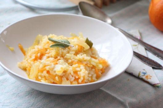 Vegetarian Risotto with Carrots Onions and Orange Zest